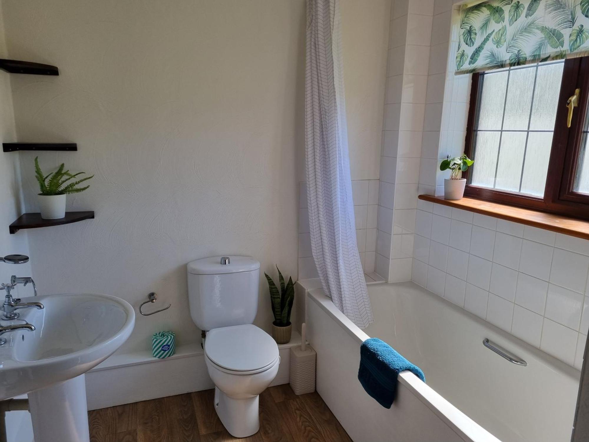 וולאקומב Sandpiper Cottage: Cosy Home Near The Beach מראה חיצוני תמונה